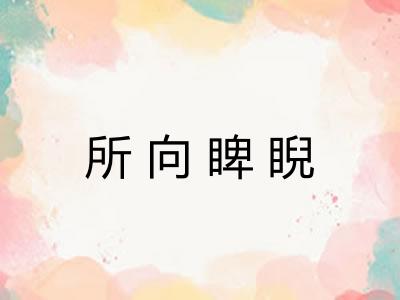 所向睥睨