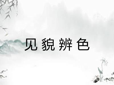 见貌辨色