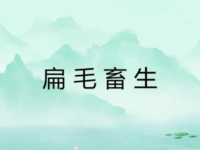 扁毛畜生