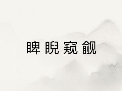 睥睨窥觎
