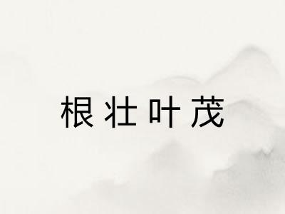 根壮叶茂