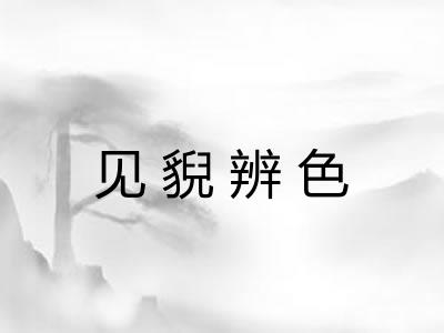 见貎辨色