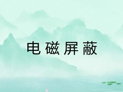 电磁屏蔽