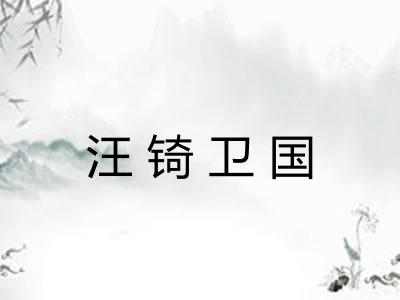 汪锜卫国