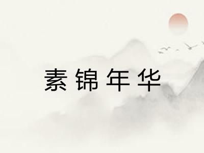 素锦年华