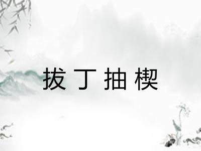 拔丁抽楔