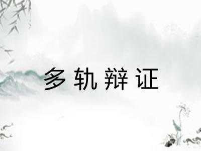 多轨辩证