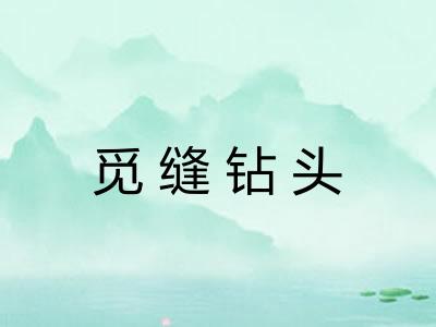 觅缝钻头