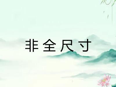 非全尺寸