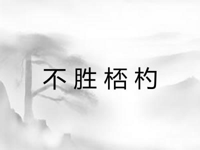 不胜桮杓