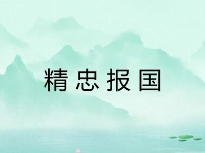 精忠报国