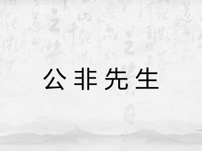 公非先生