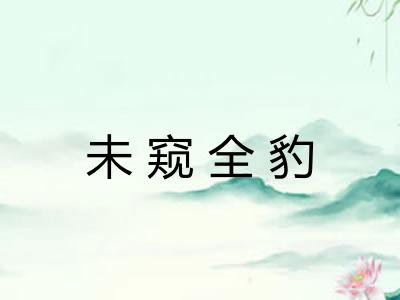 未窥全豹