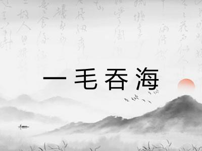 一毛吞海 一毛吞海