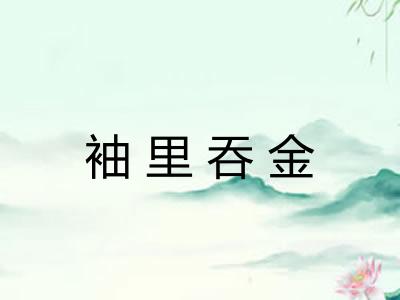 袖里吞金
