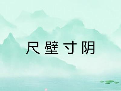 尺壁寸阴