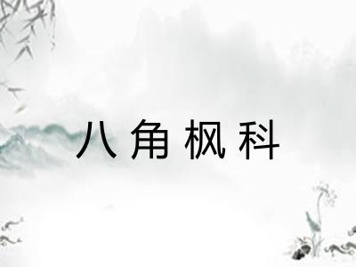 八角枫科