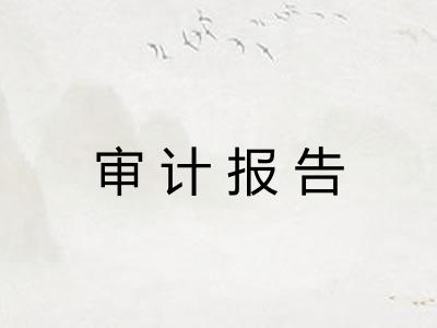 审计报告