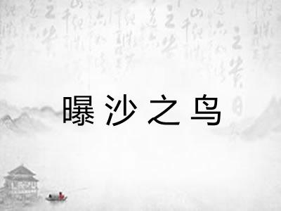 曝沙之鸟