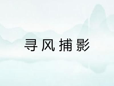 寻风捕影