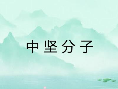 中坚分子