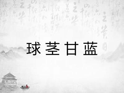 球茎甘蓝