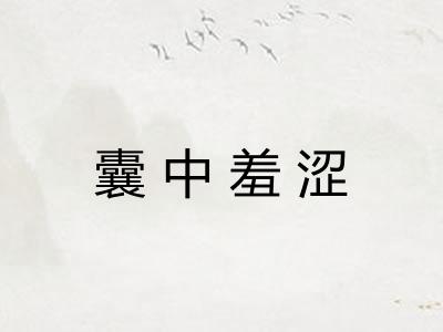 囊中羞涩