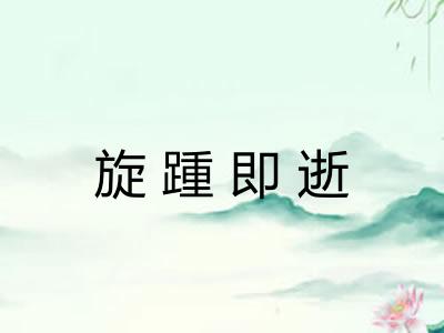 旋踵即逝