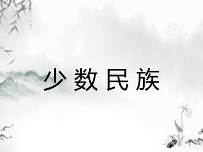 少数民族