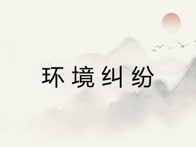 环境纠纷