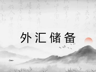 外汇储备