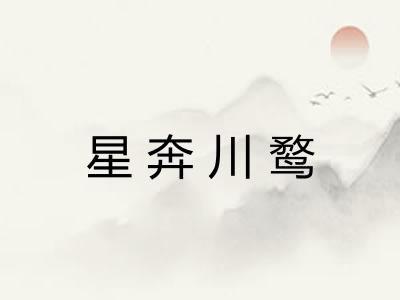 星奔川鹜