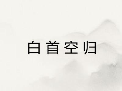 白首空归 白首空归