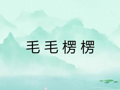 毛毛楞楞