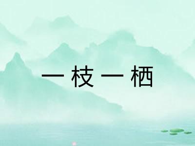 一枝一栖