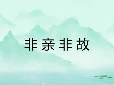 非亲非故