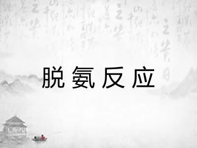 脱氨反应