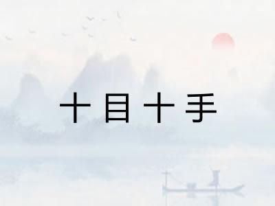 十目十手