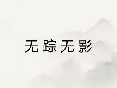 无踪无影