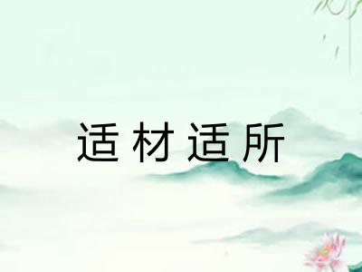 适材适所