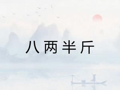 八两半斤
