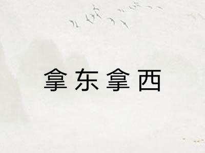 拿东拿西