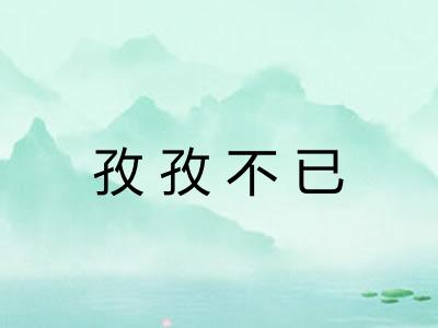 孜孜不已