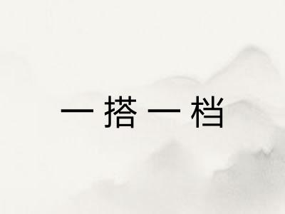 一搭一档