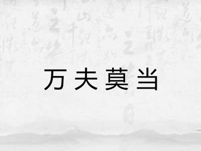 万夫莫当