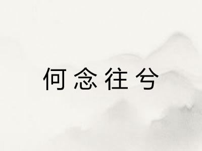 何念往兮