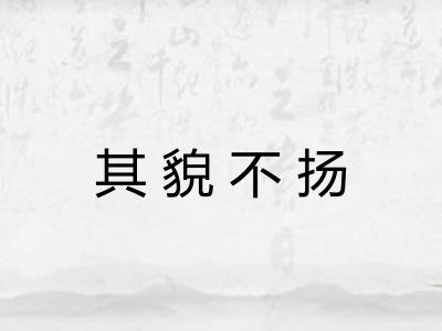 其貌不扬