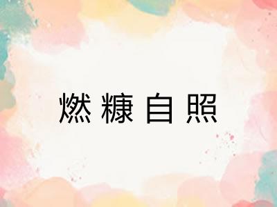 燃糠自照
