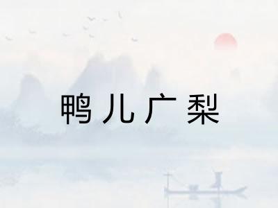 鸭儿广梨
