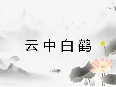 云中白鹤